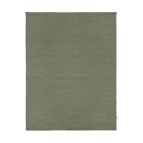Classic Collection Plain Teppich Green, 200x300 cm