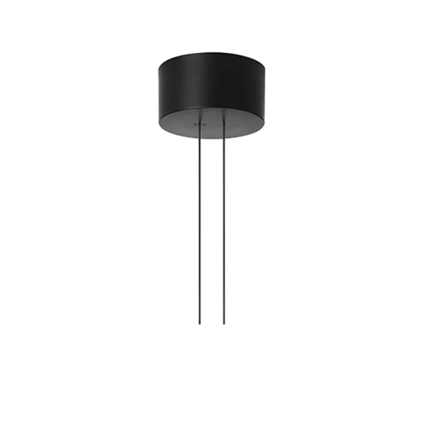 Flos Arrangement Rose Deckenbaldachin Black, big