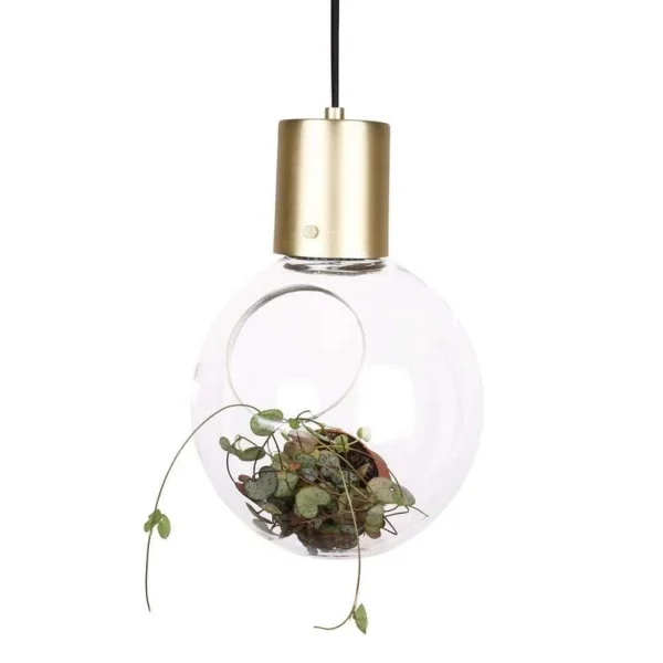 Globen Lighting - Mini Hole Pendelleuchte/Tischleuchte Clear/Brass