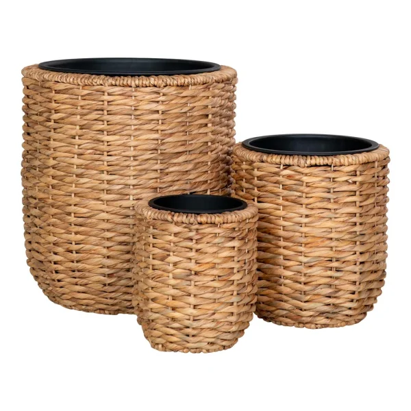 Hanoi Pflanzenschutz Satz von 3 Stk. Garten natur.
