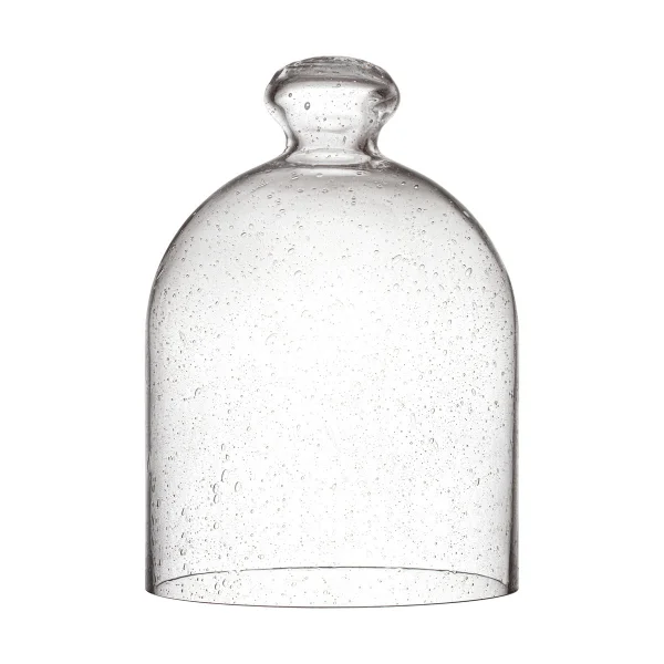 Iittala Iittala Glasdom 160x220 mm Blasenglas
