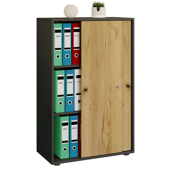 LonaXLST Büroschrank 2 Türen anthrazit, Eiche dekor.