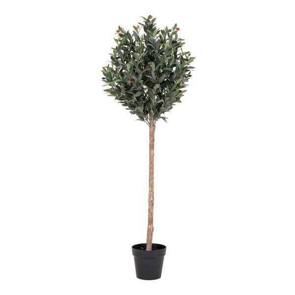 Oliventræ Künstliche Pflanze H150 cm grün.