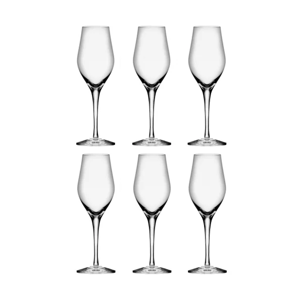 Orrefors Sense Champagnerglas 25,5 cl 6er Pack Klar