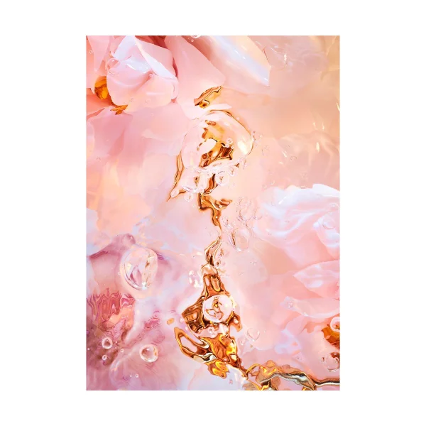 Paper Collective Flora Aquatica 02 Poster 70x100 cm
