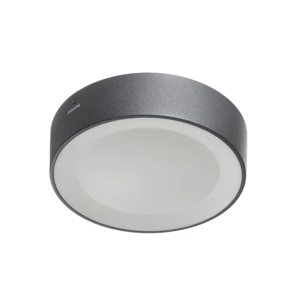 Philips Hue - Daylo Außenwandleuchte White/Color Amb. Black
