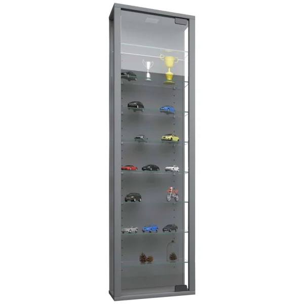 StanoMaxi Glasvitrinen wandhängend 1 Glastür silberfarben.
