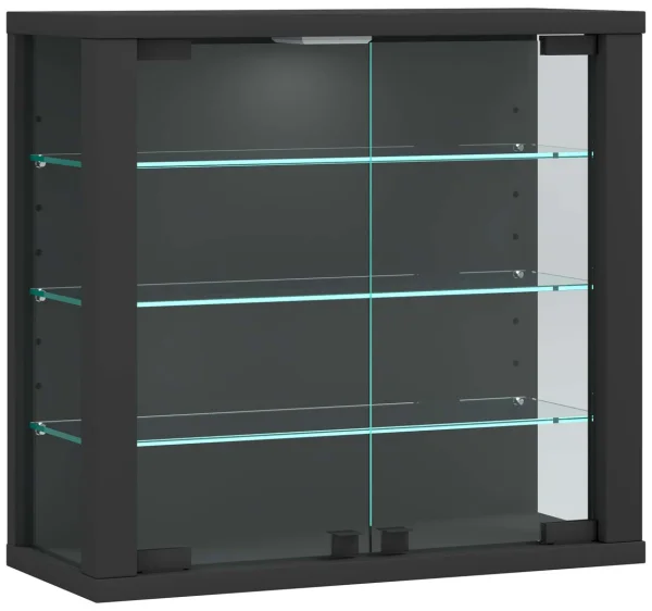VitrosaS Vitrinenschrank wandhängend 2 Glastüren anthrazit.